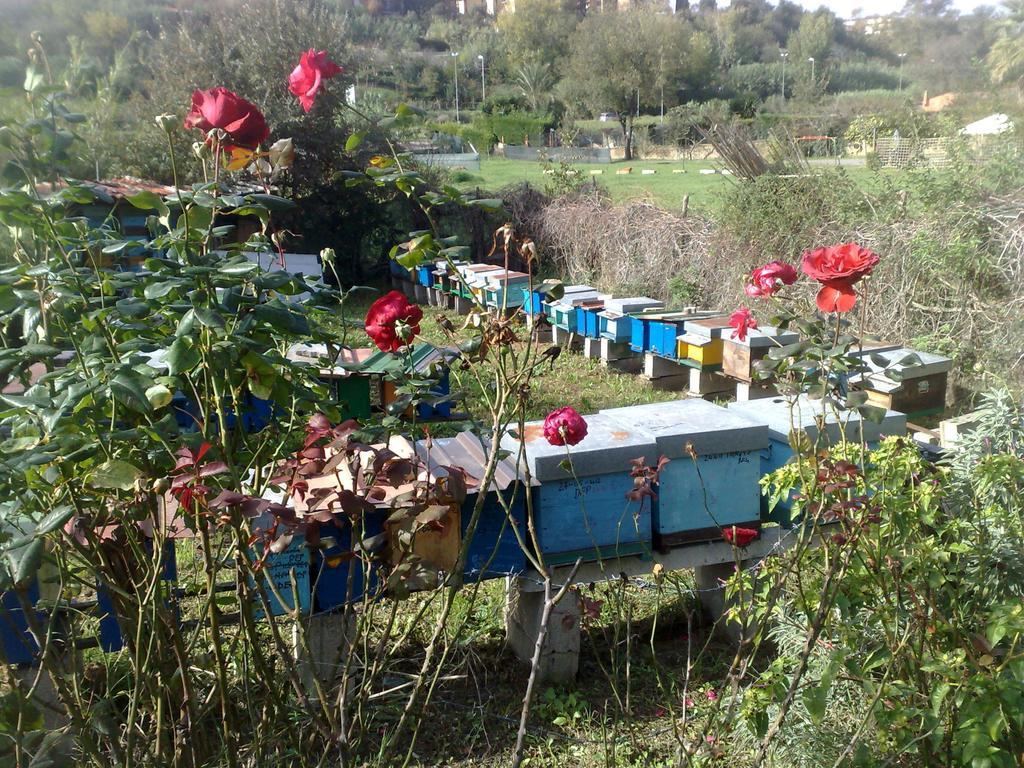 B&B Il Giardino Di Gabri Rome Extérieur photo